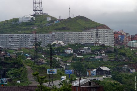 Картинка 1000x667